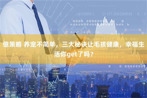 億策略 养宠不简单，三大秘诀让毛孩健康，幸福生活你get了吗？