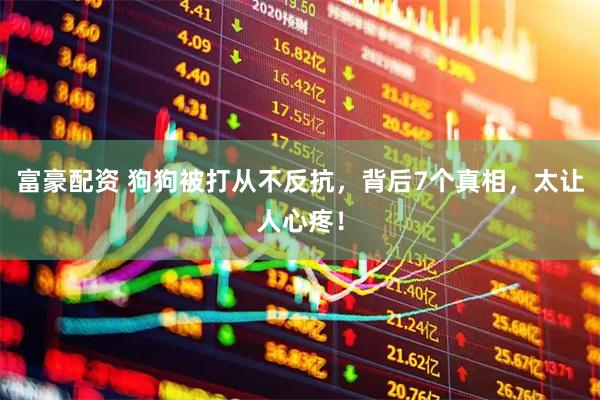 富豪配资 狗狗被打从不反抗，背后7个真相，太让人心疼！