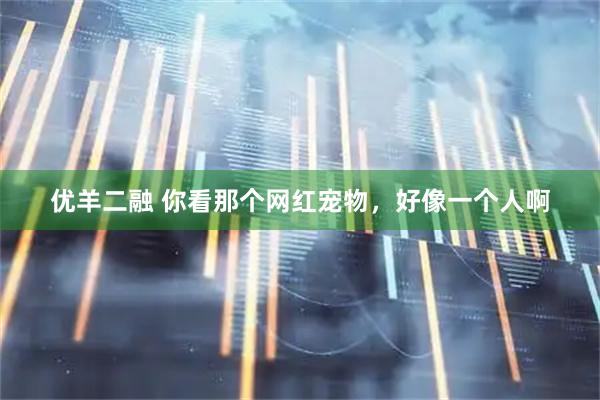 优羊二融 你看那个网红宠物，好像一个人啊
