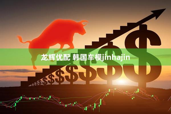 龙辉优配 韩国车模jinhajin