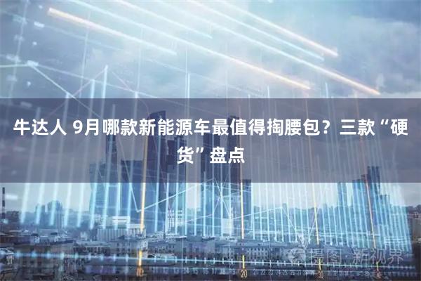 牛达人 9月哪款新能源车最值得掏腰包？三款“硬货”盘点
